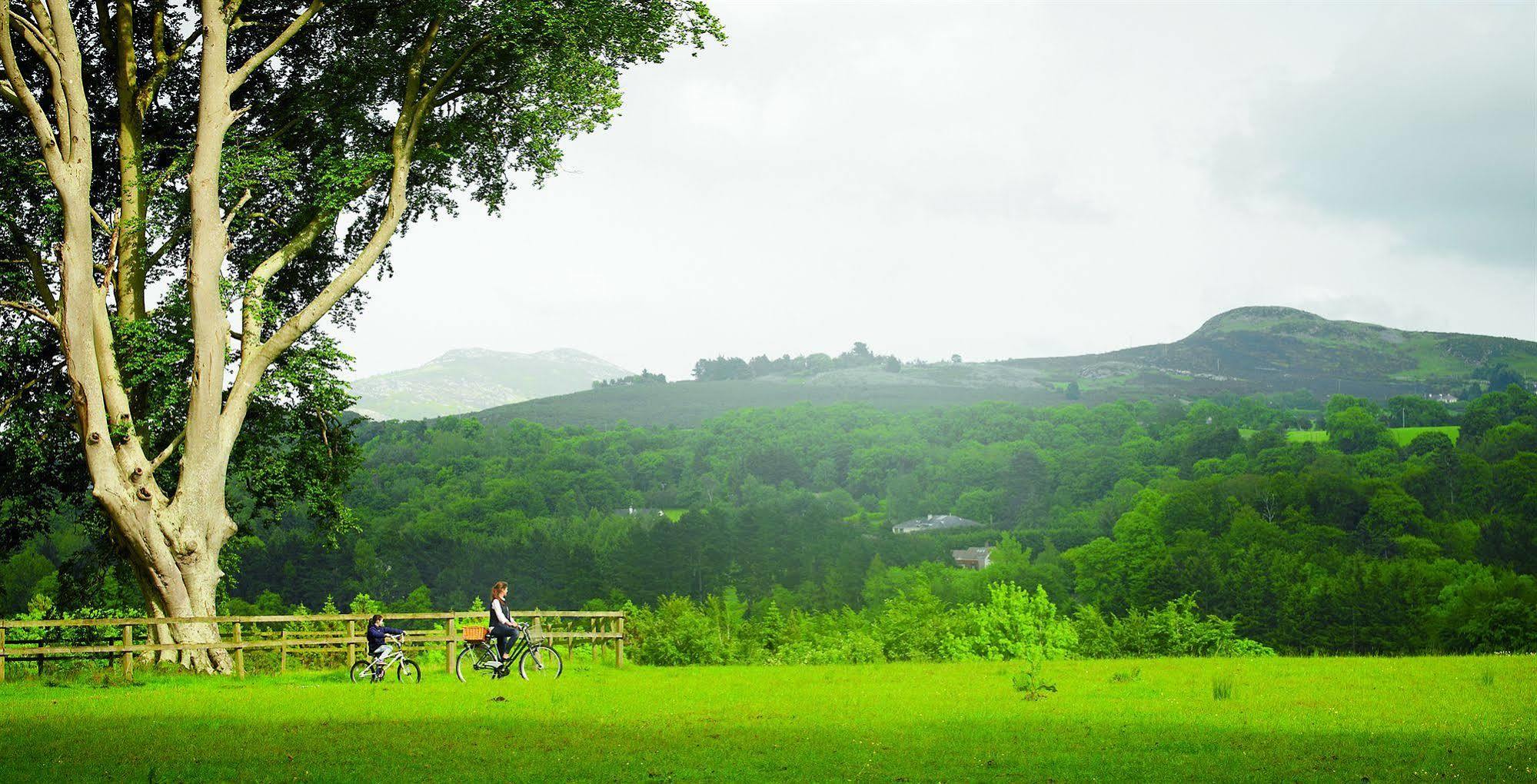 파워스코트 호텔, 오토그래프 컬렉션 에니스케리 외부 사진 View of the Black Forest from the Kaiserstuhl
